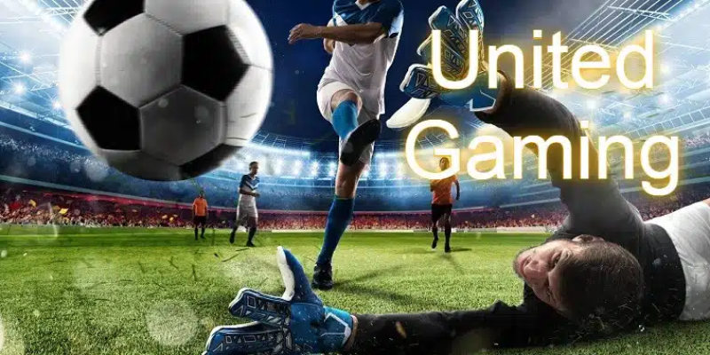 United Gaming VF555 – Đỉnh Cao Cá Cược Thể Thao Với Phần Thưởng Khủng